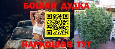 прущие крисы Кимры