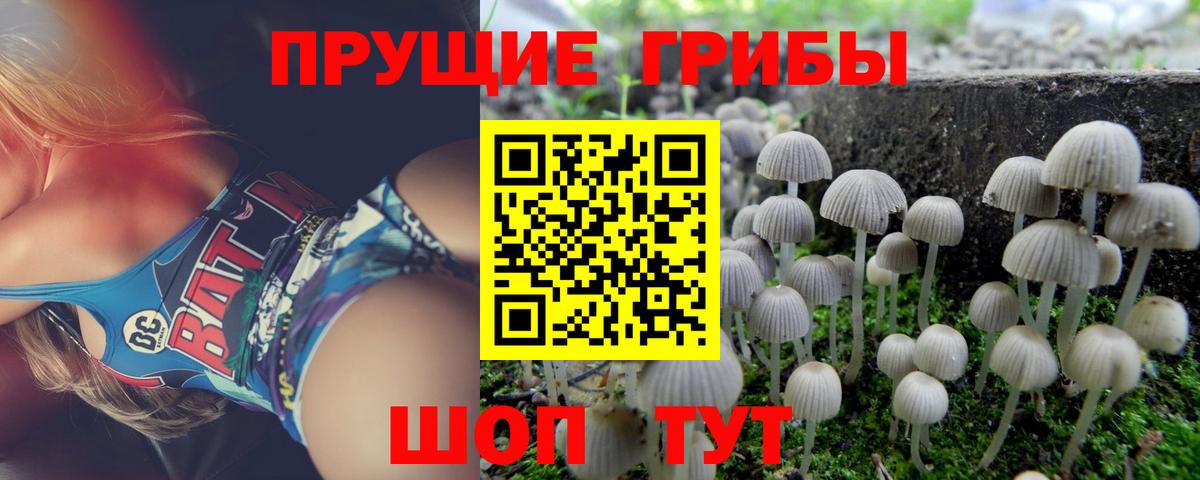 Галлюциногенные грибы Cubensis  Вход с VPN  Кузнецк  где продают наркотики  Псилоцибиновые грибы Psilocybe 